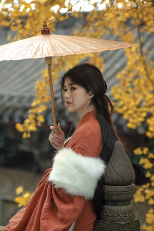 义者无敌36集完整版免费