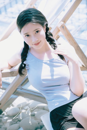 茄子视频不被信任